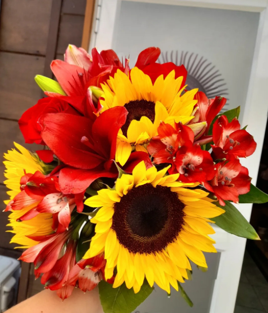 Ramo Girasoles en Rojo – Flores del Sol Temuco